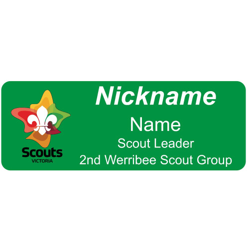GREEN badge, 80x30mm, acrylic doming, pins
