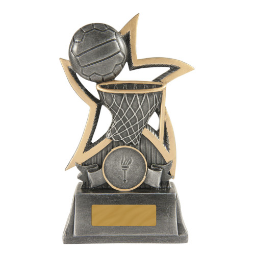 Silver Star Netball from $8.74