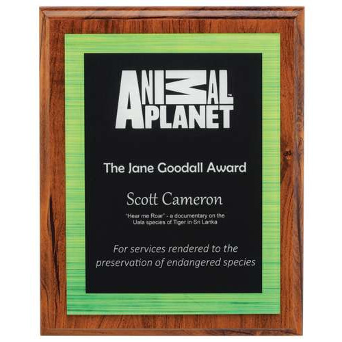 250MM Vivid Plaque - Green from $47.34
