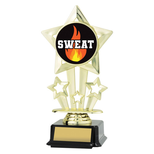 180MM Icon Star - Sweat from $8.70