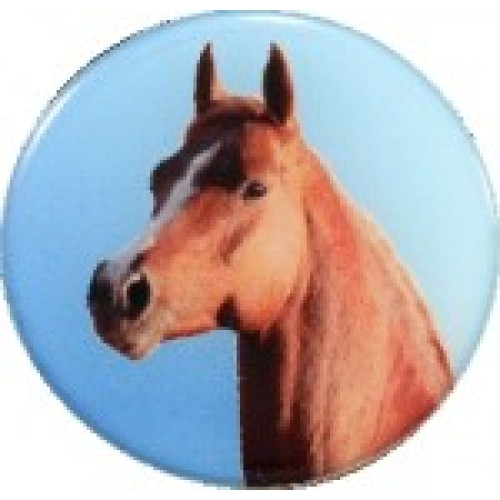 Equestrian horse