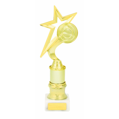 Star Holder  - Gold or Silver from $14.91