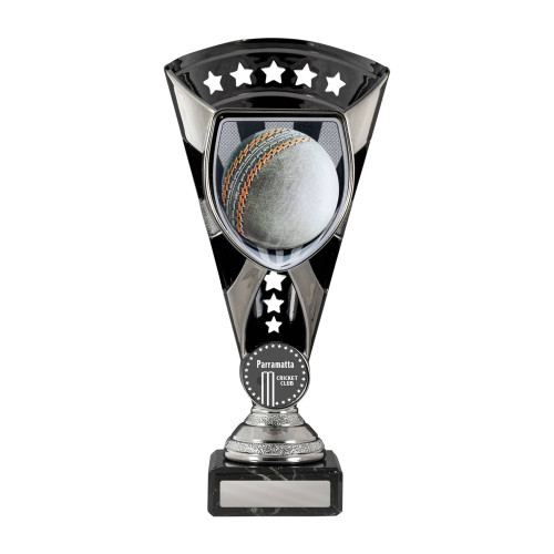 Cobra Cup-Cricket