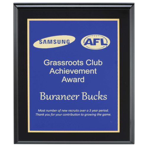 Designer Plaques - Blue from $50.50
