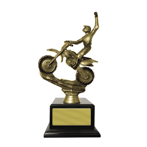 320MM Gold Moto-X Bike on Base from $56.31