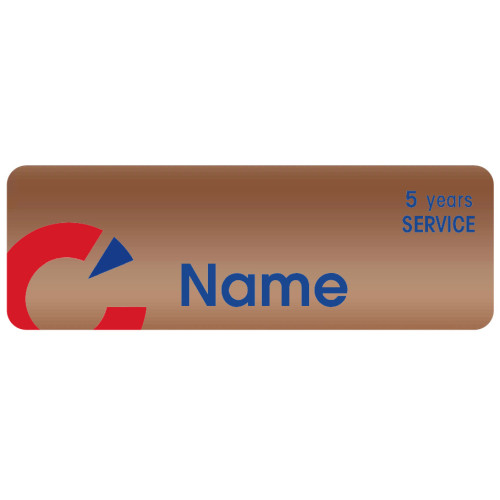 OEM-C-BRONZE- 5YRS 75x25mm, with DOMING, swivel clip and pin fitting