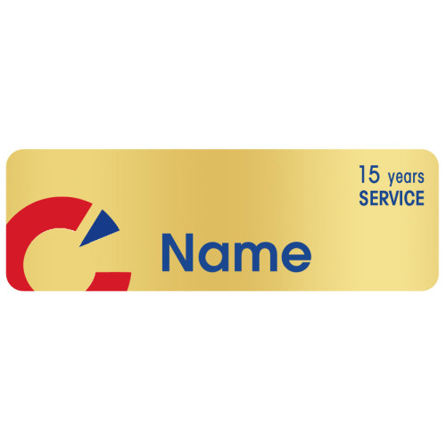 OEM-C-Metallic GOLD- 15YRS 75x25mm, with DOMING, swivel clip and pin fitting