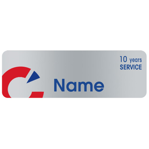 OEM-C-Metallic Silver- 10YRS 75x25mm, with DOMING, swivel clip and pin fitting
