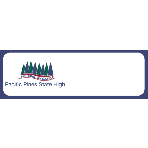 PPSHS LOGO ONLY badge, 75x25mm, doming, magnet AND pin fitting