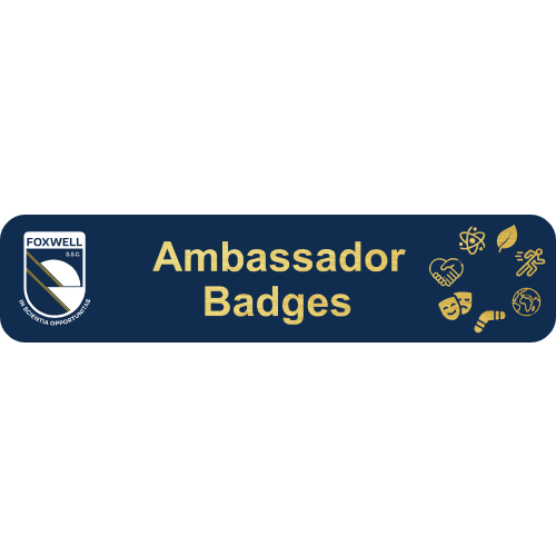 FSS Ambassador with magnet fitting