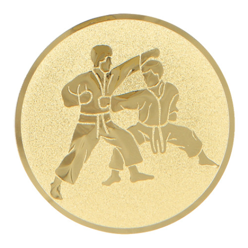 Karate gold metal