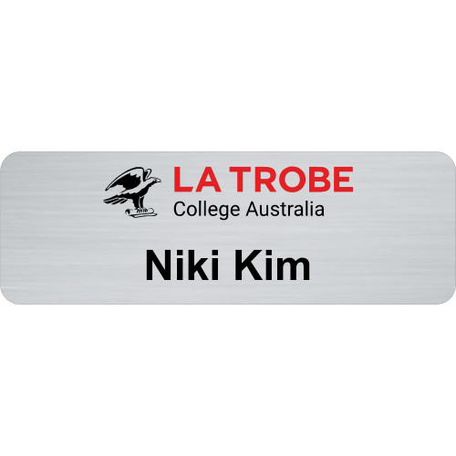 LT badge 75x25mm, brushed silver, with doming
