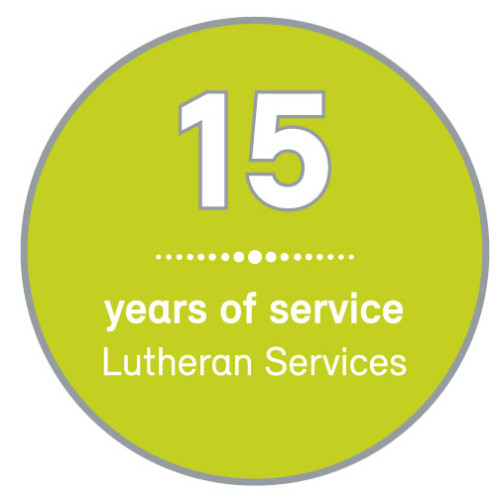 Service lapel pin - 15 years