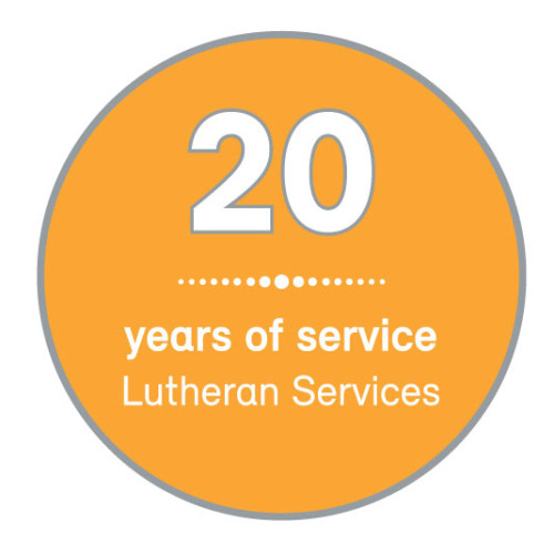 Service lapel pin - 20 years