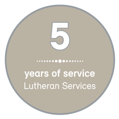 Service lapel pin - 5 years