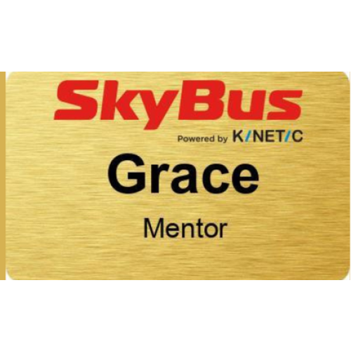 SB mentor badge brushed gold 80x50mm with acrylic doming, clip and pin fitting