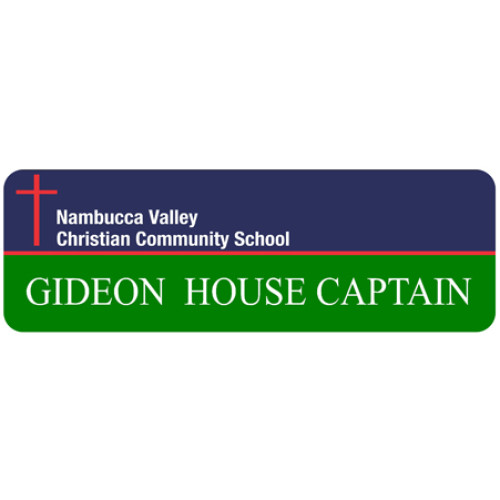 NVCCS Gideon House badge 75x25mm with doming and pin fitting