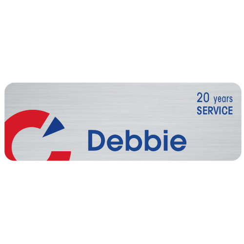 OEM-C- BRUSHED ALUMINIUM- 20YRS 75x25mm, with DOMING, swivel clip and pin fitting