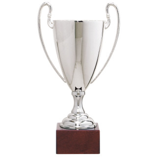 Silver Plated Trophy 2 sizes