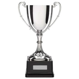 Classic Cup-Silver  from $32.62