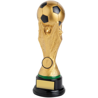 Soccer Cup Victory from $11.33