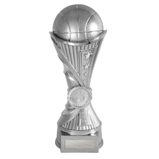 Invictus-Basketball Silver from $10.23