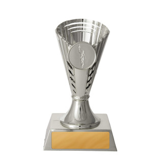 125MM Silver Cup from $6.90