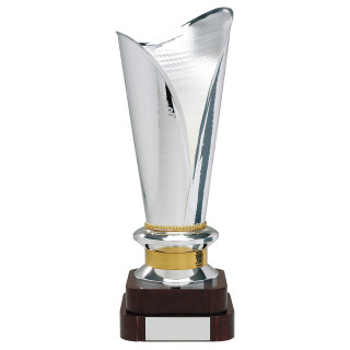 Silver Plated Trophy 78cm