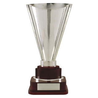 Silver Plated Trophy 72cm