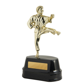 209MM Figurine on base - Karate Male from $6.90