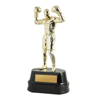 209MM Figurine on base - Boxing Male from $6.90