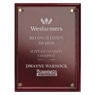 Advantage Acrylic - Rosewood