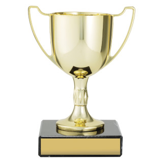 Gold Cast Cup from $23.77