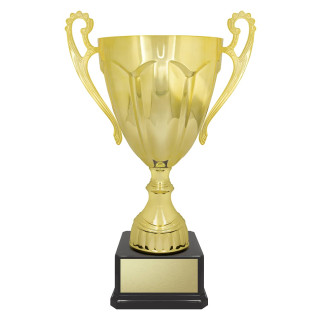 Rubicon Gold Cup