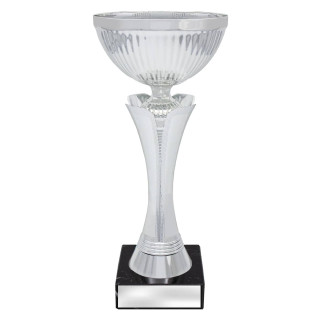 Equity Cup
