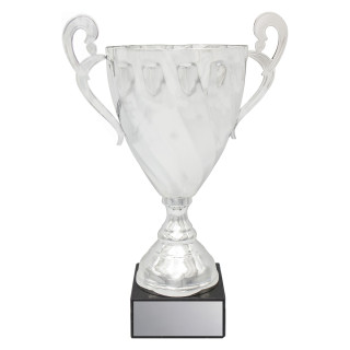 Fidelity Cup - Silver from $68.26