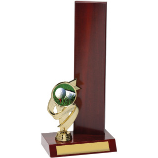 Golf Wing Trophy from $22.63