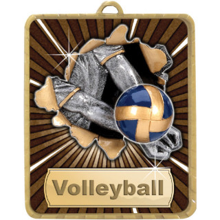 63 x 75MM Volleyball Lynx Medal from $7.06