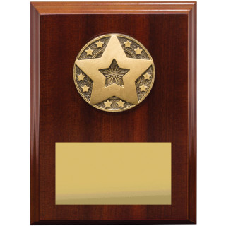 175MM Star Award Plaque from $13.18