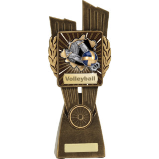 Volleyball Lynx Trophy from $9.67