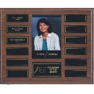 250mm H x 320mm W Solid American Walnut Plaque Magnetic