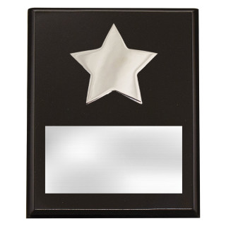 Star Plaque from $11.28