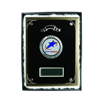 Silver Plaque with Glass from $55.04