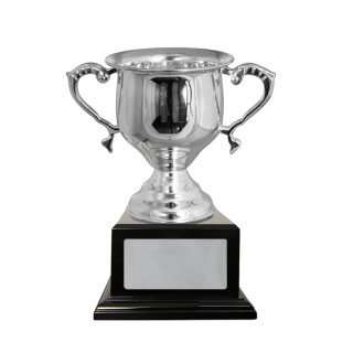Silver Plated Handled Cup from $133.86