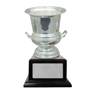Silver Plated Cup from $78.80