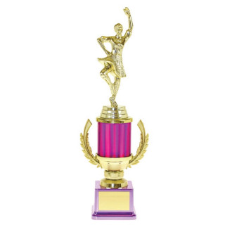 Pirouettes Trophy from $13.27