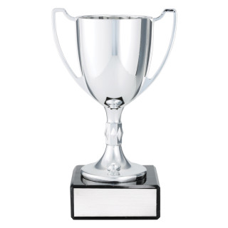 Cast Cup - Silver from $23.77