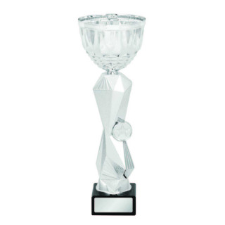 Roma Silver Cup