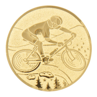 Mountain bike gold metal