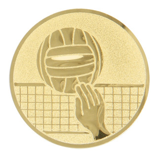 Volleyball gold metal